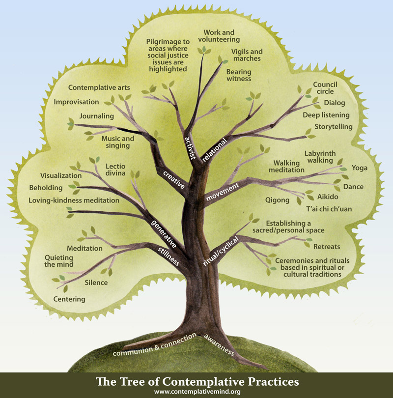 The Tree of Contemplative Practices Diagram